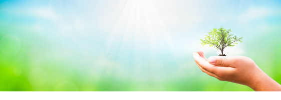 Climate-related Financial Disclosures Report 2025