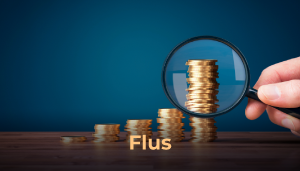 Flus